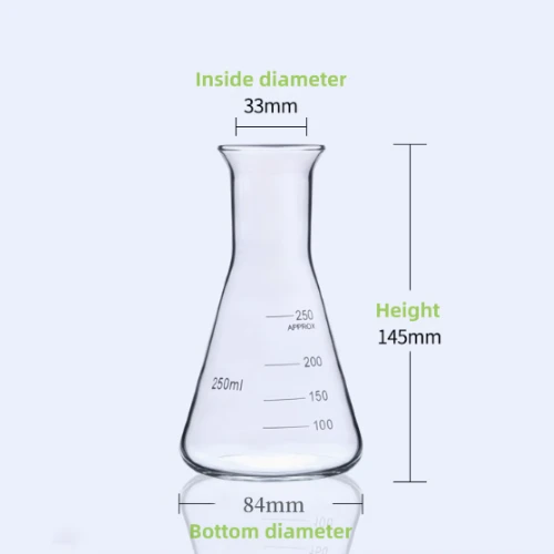 Erlenmeyer Flask in Laboratory